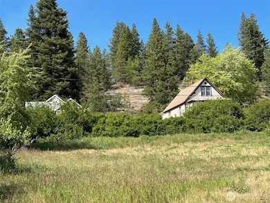 0 Lots 3&4 W 6th St, Cle Elum, WA 98922 - photo 4