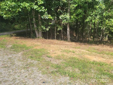00 Bradford Park unit 10, Clyde, NC 28721 - photo 3