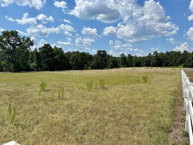 29815 Tudor Way, Magnolia, TX 77355 - photo 3