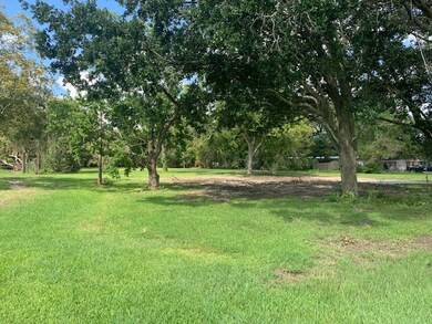 3738 County Road 158, Alvin, TX 77511 - photo 5