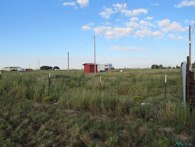 View of yard with a view of rural / pastoral area and an outdoor structure