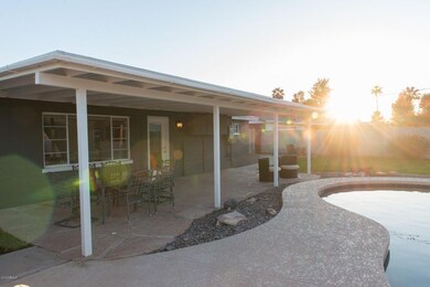 Back Patio 2