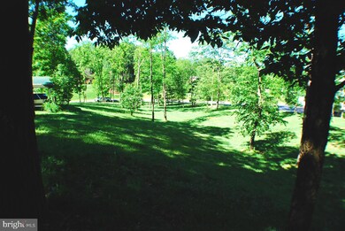 109 Launchris Dr, Winchester, VA 22602 - photo 4