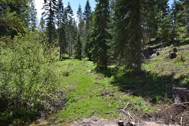 Seasonal Stream
