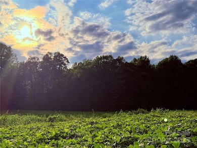 Beautiful pasture area; will be cut one more time prior to fall