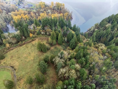 205 Newt Estates Rd, Longview, WA 98632 - photo 3