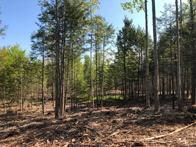 Map12/L19 Augusta Rd, Bowdoin, ME 04287 - photo 5