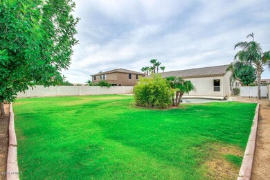 Backyard4