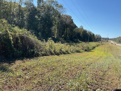 3200 Alabama 10, Brundidge, AL 36010 - photo 3