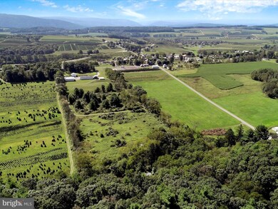 100 N Market St, New Ringgold, PA 17960 - photo 6