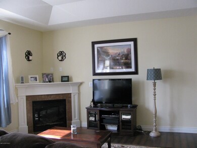 Nice Fireplace