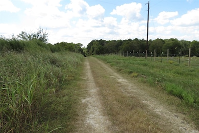 TBD 10.24acres Townley Ranch Rd, Dodge, TX 77320 - photo 2
