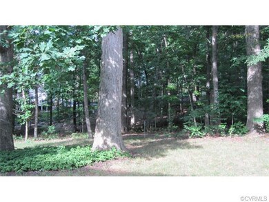 Back Yard view