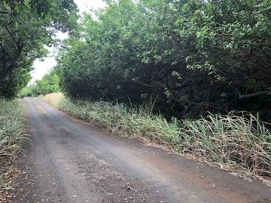 51 Palaoa Rd, Discovery Harbor, HI 96772 - photo 3