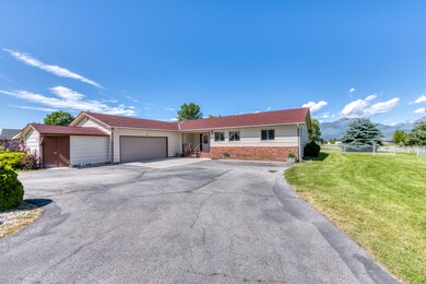All View Ln-5