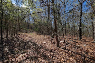 TBD Shotgun Spring Rd, New Market, VA 22844 - photo 3