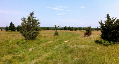 140C,D Sarita Walker Rd, West Tisbury, MA 02568 - photo 4