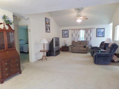 125 Brandy Ln, Kimberling City, MO 65686 - photo 4