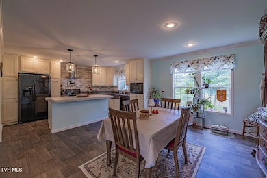 170 Creek View Way, Rogersville, TN 37857 - photo 7