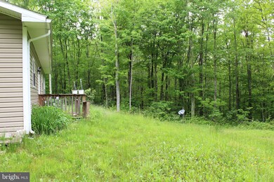 293 Grey Squirrel Ln, Circleville, WV 26804 - photo 6