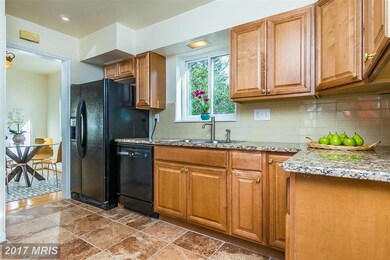 819 Larch Ave, Takoma Park, MD 20912 - photo 7