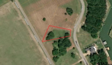 Lot 45 Canal St, Corsicana, TX 75109 - photo 2