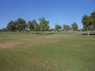 18403 N Conestoga Dr, Sun City, AZ 85373 - photo 6