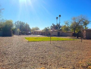 Huge yard