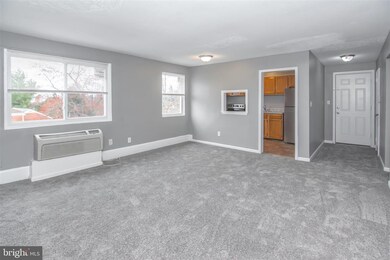 5101 Williston St unit 4, Baltimore, MD 21229 - photo 4