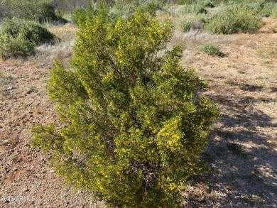 529acres E Hemlock Dr, Marana, AZ 85658 - photo 6