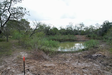 TBD Lot 20 Kovar Rd, Flatonia, TX 78941 - photo 5