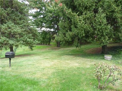 Other. Rear yard
