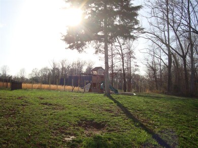 Backyard with playset