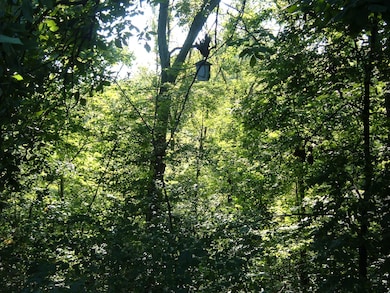 2113 Brookhurst Ave, Columbus, OH 43229 - photo 4