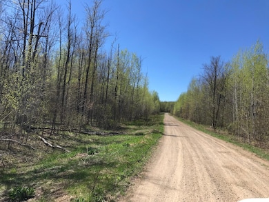 5346 Glacier Ridge Rd, Crandon, WI 54520 - photo 4