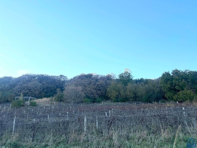 953 N River Rd, Linn Grove, IA 51033 - photo 7