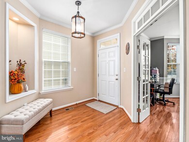 42250 Sand Pine Place, Chantilly, VA 20152 - photo 4