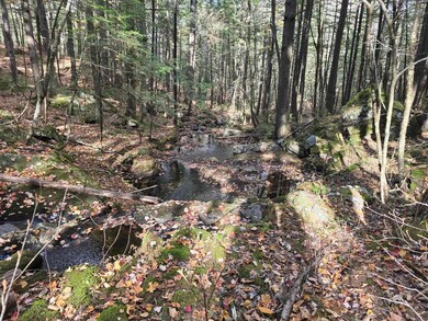 00 Bull Pasture Rd, Eaton, NH 03832 - photo 5