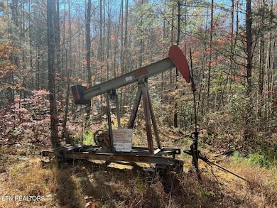 523 Honey Creek Loop Rd, Allardt, TN 38504 - photo 6