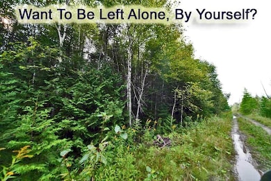 off-pulcifer-rd-mapleton-me