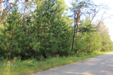 0 Sikowski Ln, Stephenson, WI 54114 - photo 3