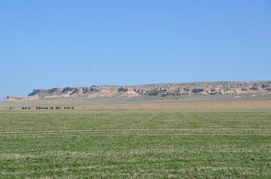 North. view