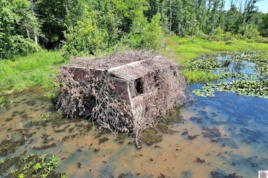 0 Mayfield Rd, Wickliffe, KY 42087 - photo 4