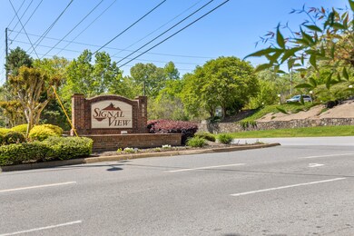 Mountain Creek-21