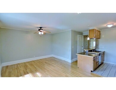 334 Tappan St unit 4, Brookline, MA 02445 - photo 6