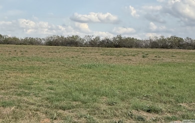 13208 Adkins Saint Hedwig Rd, Saint Hedwi1, TX 78152 - photo 2