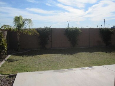 BACK YARD 3