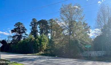 103 E Kelliwood, Goldsboro, NC 27534 - photo 3