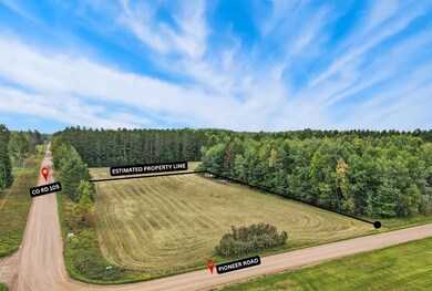 Bird's eye view of a forest