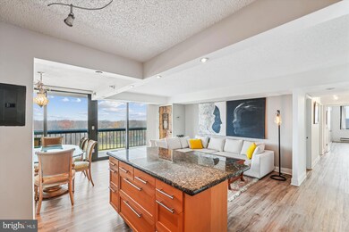 Chelsea Towers unit 1502, Bethesda, MD 20817 - photo 6